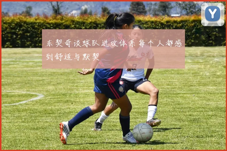 东契奇谈球队进攻体系每个人都感到舒适与默契