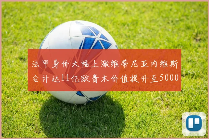 法甲身价大幅上涨维蒂尼亚内维斯合计达11亿欧青木价值提升至5000万