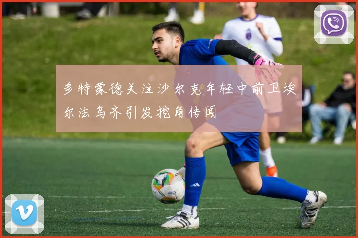 多特蒙德关注沙尔克年轻中前卫埃尔法乌齐引发挖角传闻